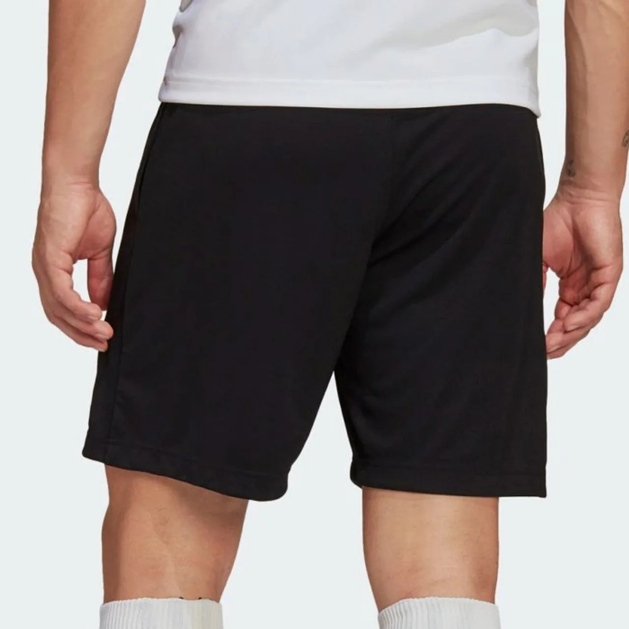 adidas Entrada 22 Short